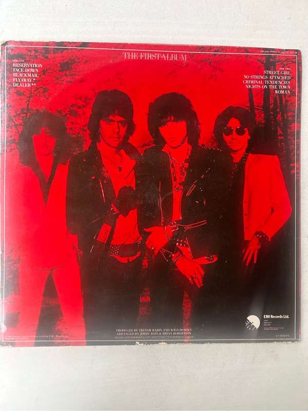 WILD HORSES - THE FIRST ALBUM LP VINYL