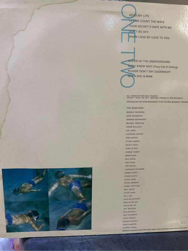 MICHAEL FRANKS - SKIN DIVE LP VINYL