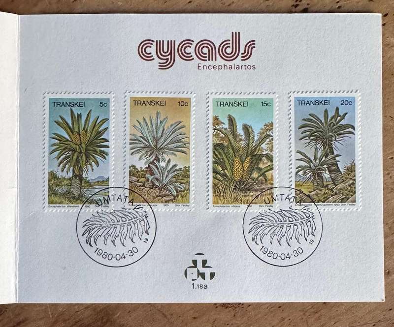 TRANSKEI COMMEMORATIVE CARD