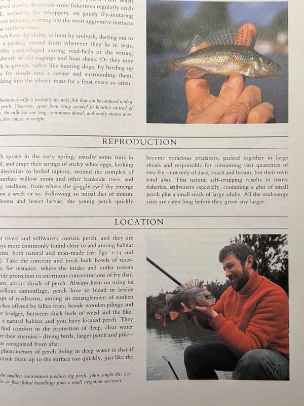 John Wilson's Coarse Fishing