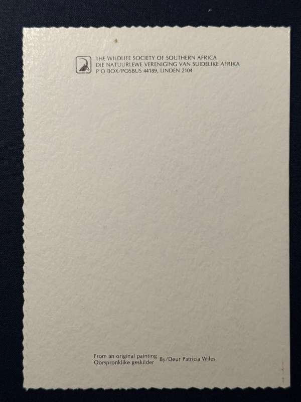 Greetings Card