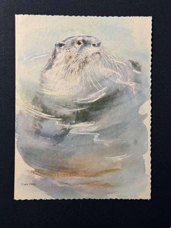 Greetings Card