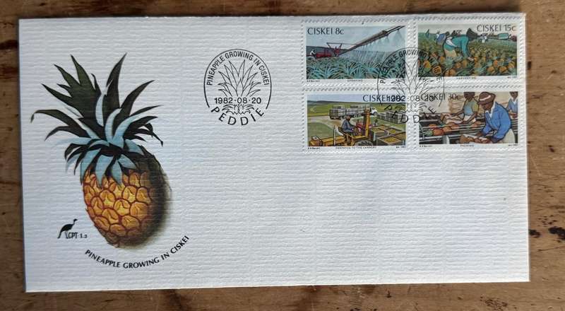 CISKEI COVERS