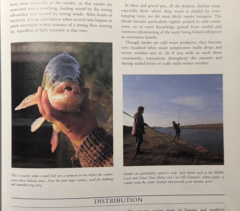 John Wilson's Coarse Fishing