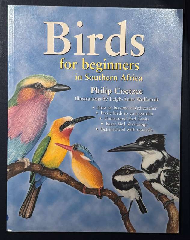 Birds for Beginners in Southern Africa