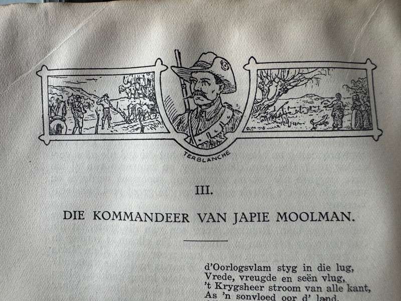 Die Nuwejaarsfees