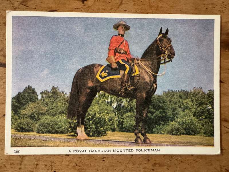 POSTCARD - ROYAL CANADIAN POLICEMAN