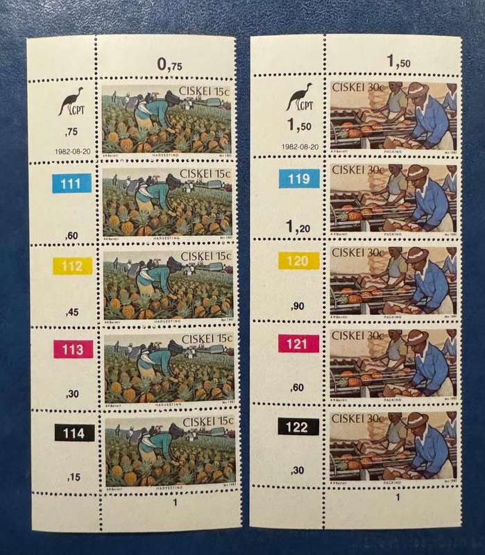 CISKEI CONTROL BLOCKS