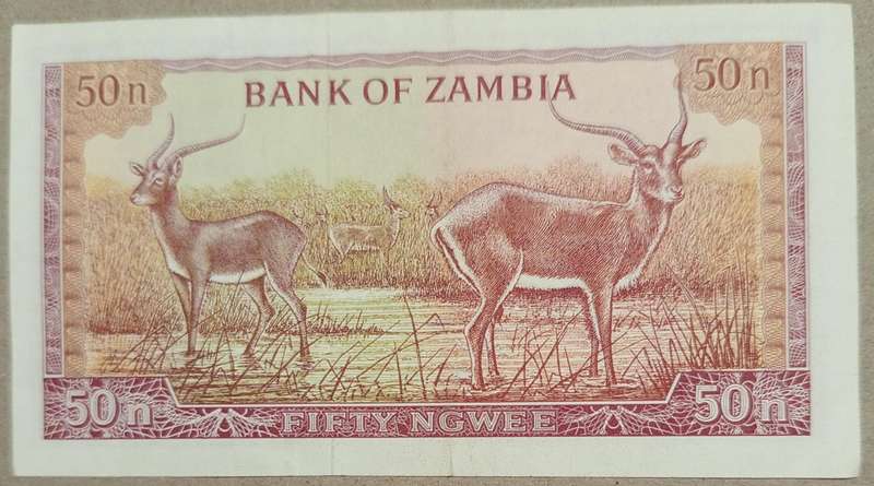ZAMBIA 50 NGWEE