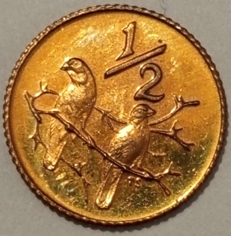 1981 HALF CENT
