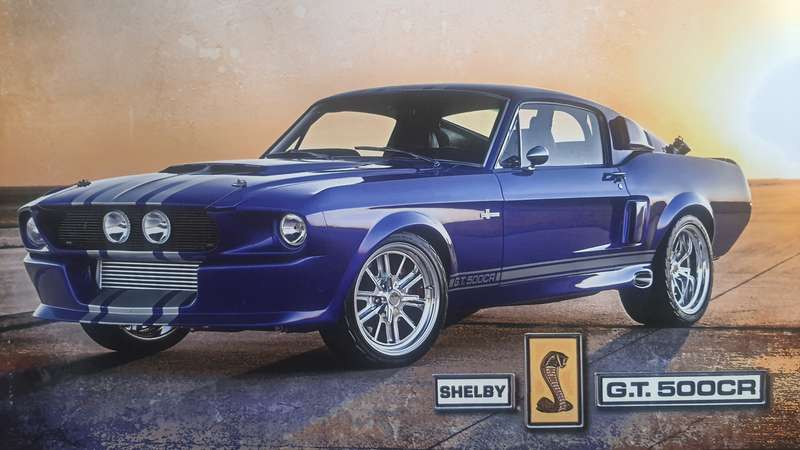 1967 MUSTANG SHELBY GT500CR - DECORATIVE PRINT ON WOOD (LARGE)
