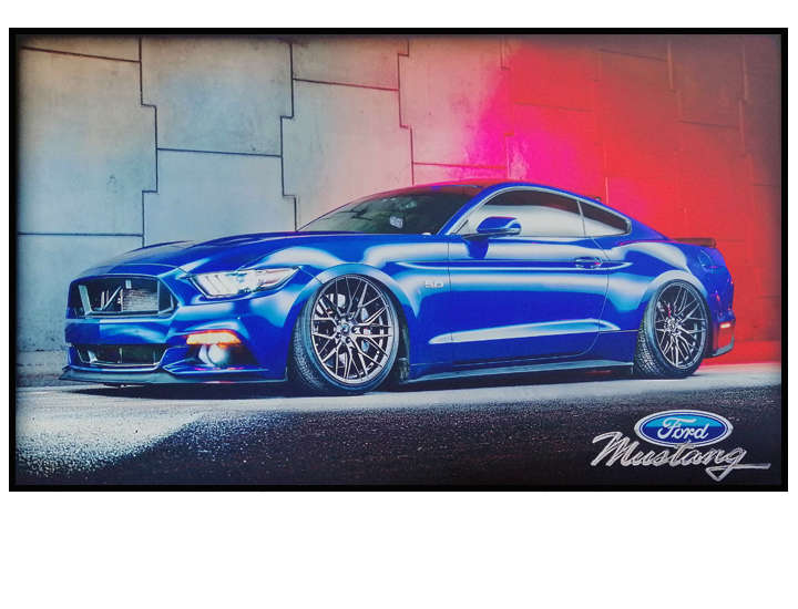 MUSTANG 5.0 V8 PRINT ON WOOD (LARGE)
