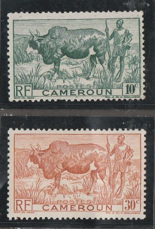 CAMEROON