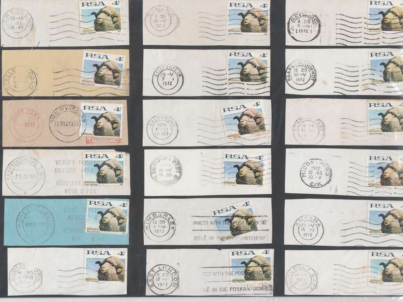 STAMP