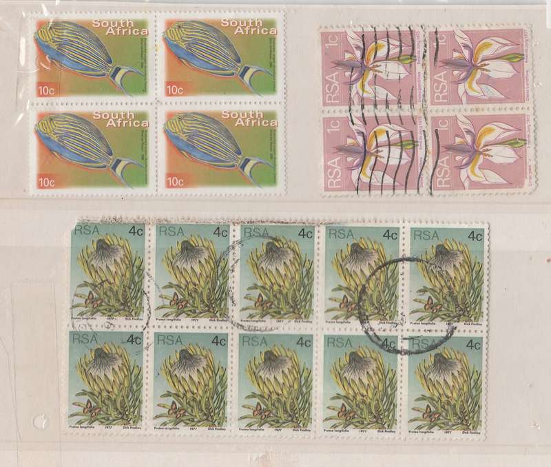STAMP
