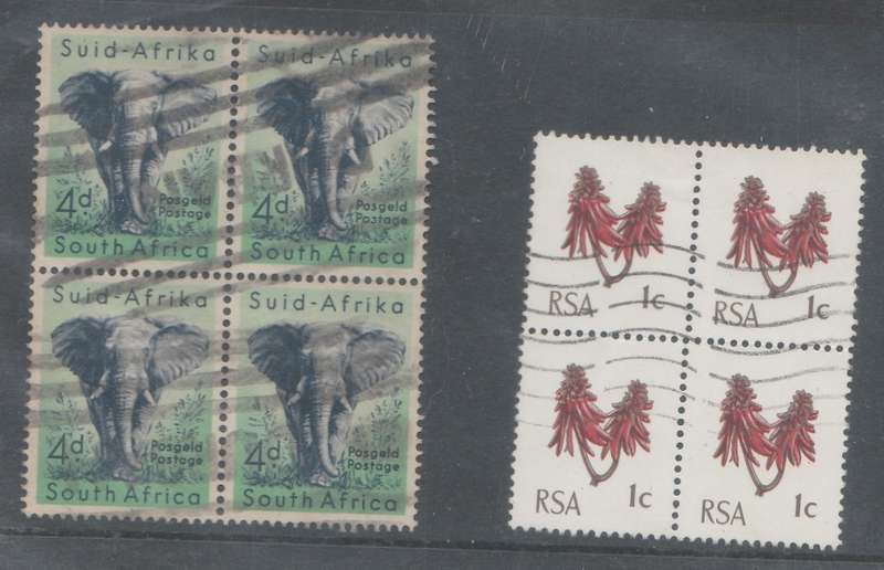 STAMP