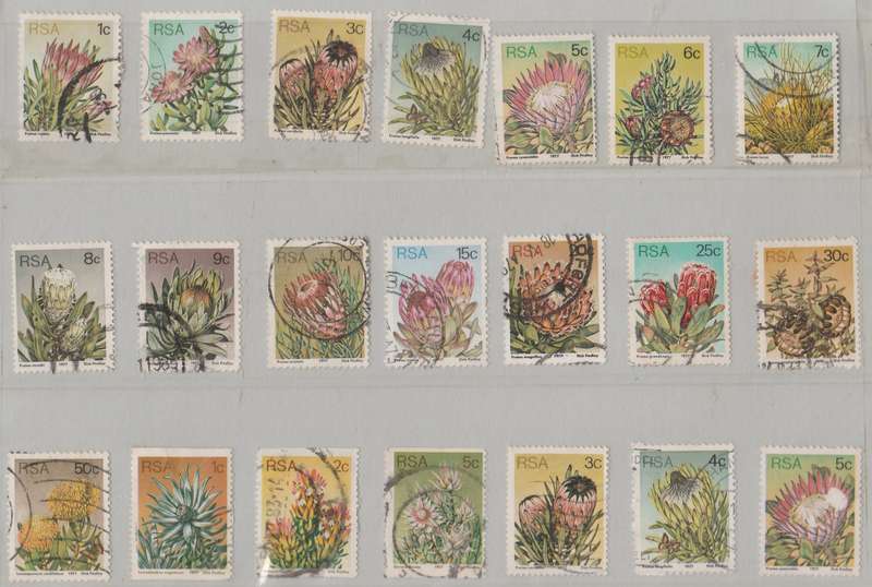 STAMP