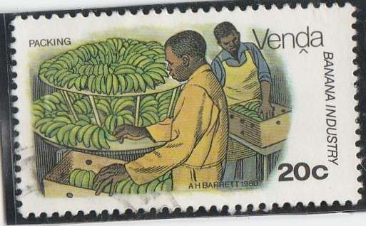 VENDA