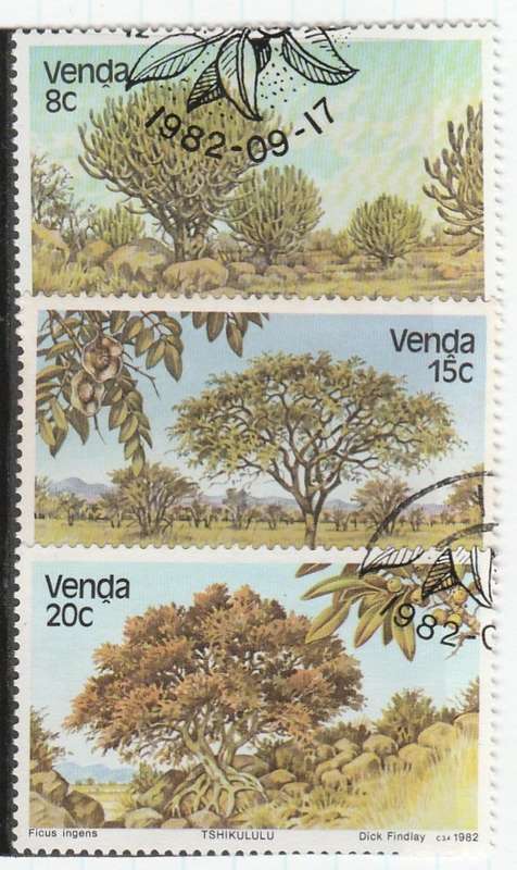 VENDA