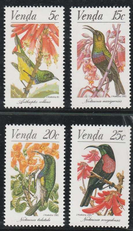 VENDA
