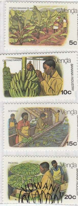 VENDA