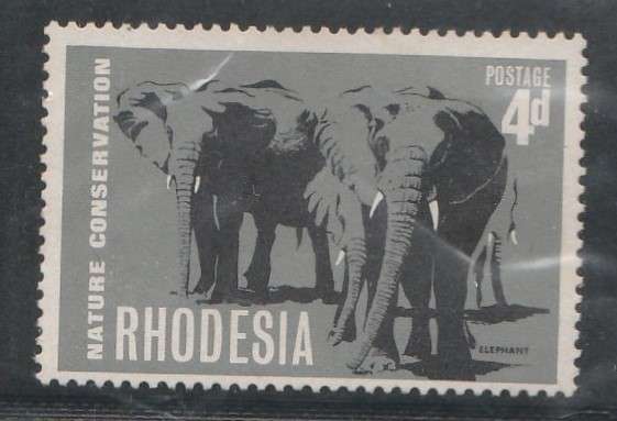 RHODESIA
