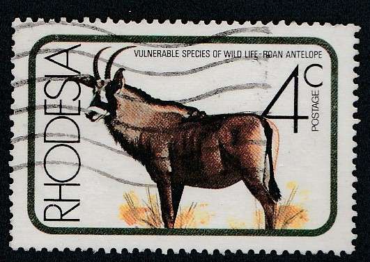 RHODESIA