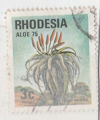 RHODESIA