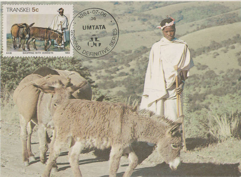 MINT POST CARD/MAXI CARD TRANSKEI DEFINITIVE