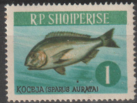 THEMATIC FISH SHOIPERISE MM