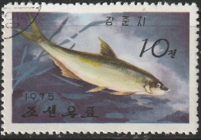THEMATIC FISH ST KOREA ULH