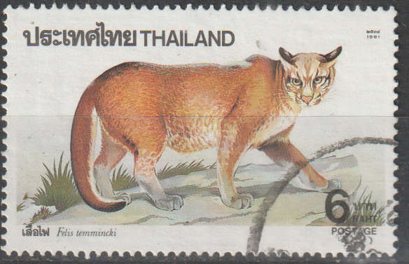 THEMATIC ANIMALS THAILAND ULH