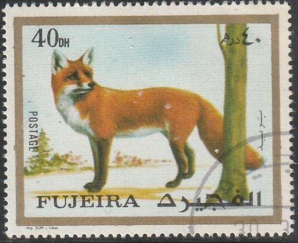 THEMATIC FARM ANIMALS FUJEIRA ULH