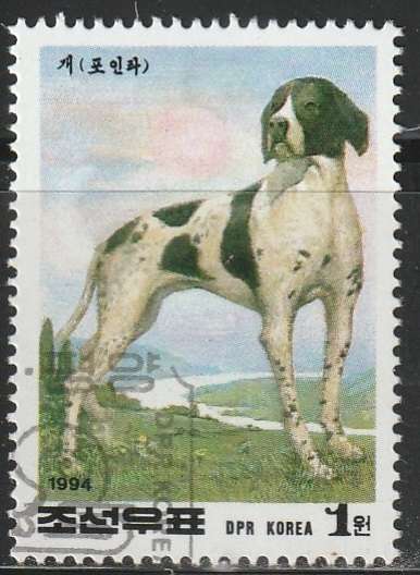 THEMATIC DOGS KOREA ULH