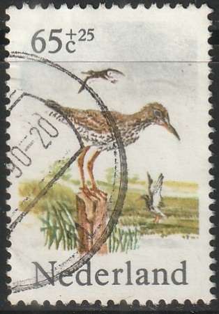 THEMATIC BIRDS NETHERLANDS ULH