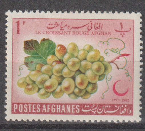THEMATIC FLORA AFGANISTAN MM