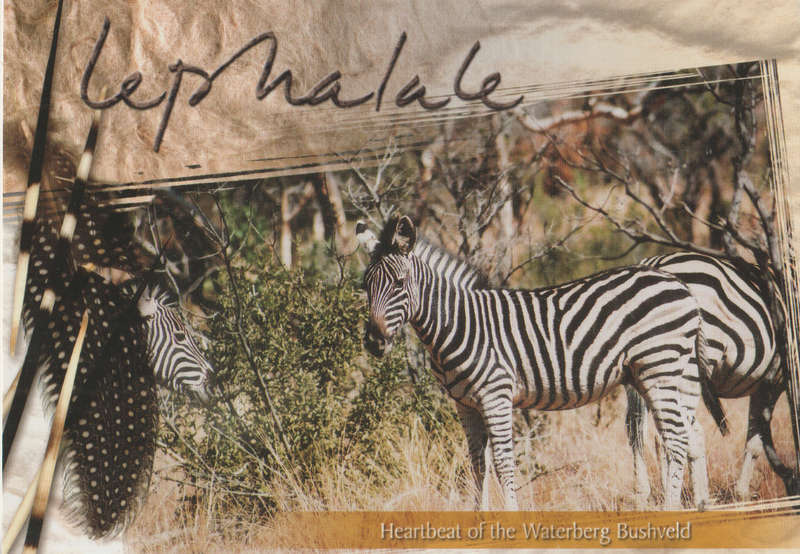 MINT POST CARD SA