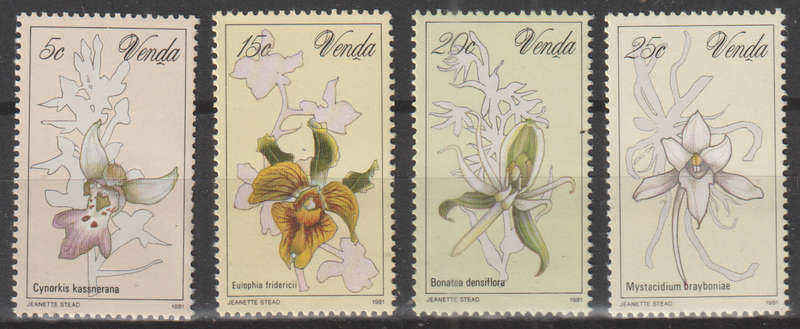 VENDA 1981 Orchids UMM