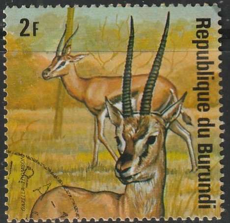 THEMATIC ANIMALS BURUNDI ULH