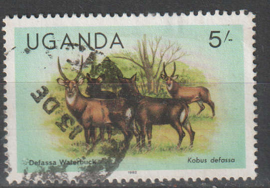 THEMATIC ANIMALS UGANDA ULH