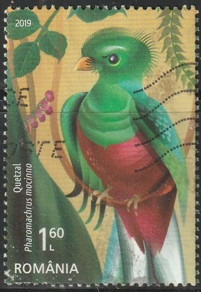 THEMATIC BIRDS ROMANIA ULH