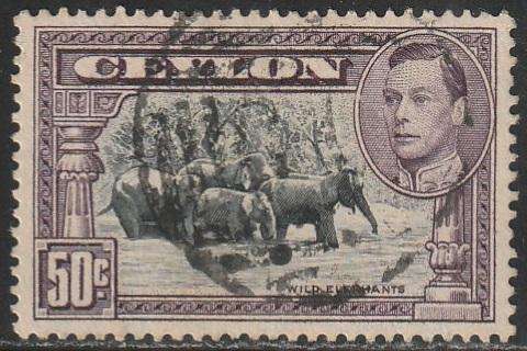 THEMATIC ANIMALS CEYLON ULH