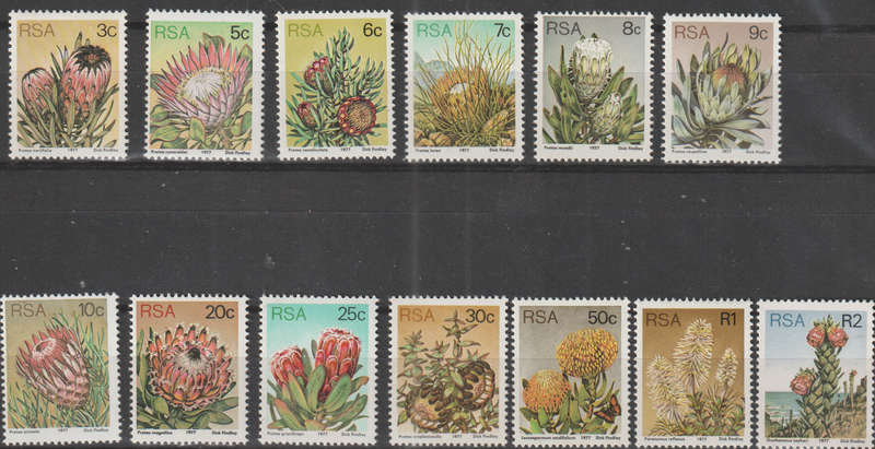 RSA 1977 Flora - Protea Plants UMM SHORT SET