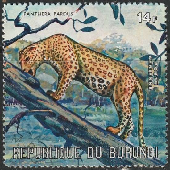 THEMATIC ANIMALS BURUNDI ULH