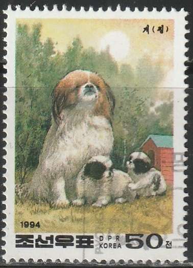 THEMATIC DOGS KOREA ULH