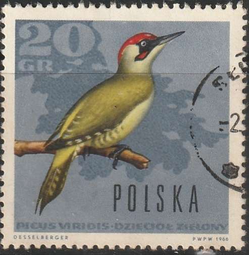 THEMATIC BIRDS POLAND ULH