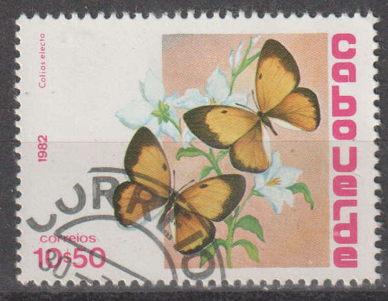 THEMATIC BUTTERFLIES CABO VERDE ULH