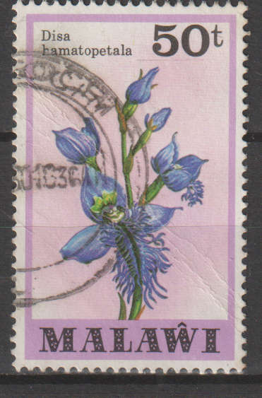MALAWI 1979 Orchids ULH SG 586