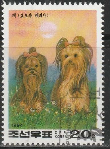 THEMATIC DOGS KOREA ULH