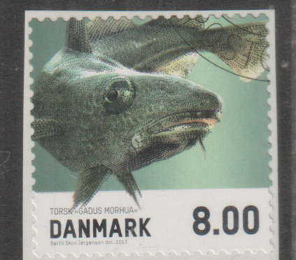 DENMARK 2013 Marine Life - Fish MM SG 1701 SELF ADHESIVE